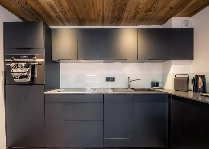 Moderne Avec Parking Et Wi-fi à - Fr-1-343-220 * Chamonix