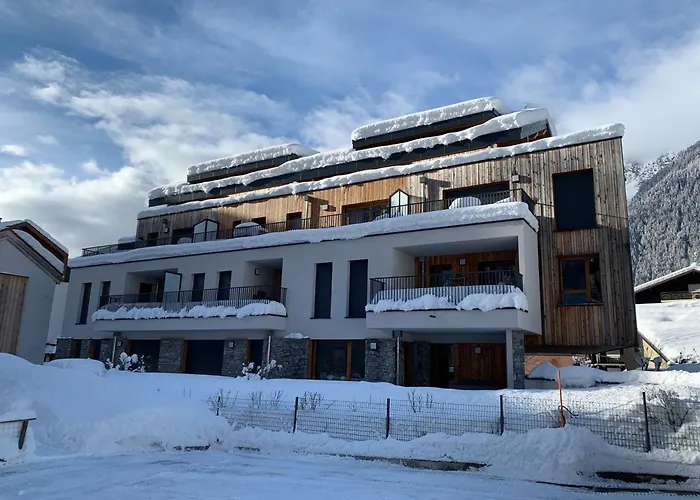 Moderne Avec Parking Et Wi-fi à - Fr-1-343-220 Appartement Chamonix